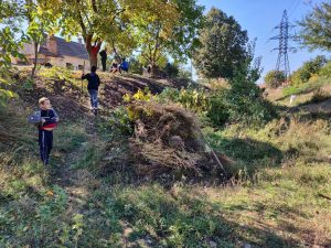 IMG_20181007_184108_786