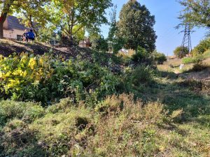 IMG_20181007_184120_910