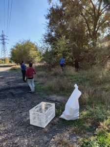 IMG_20181007_184128_429