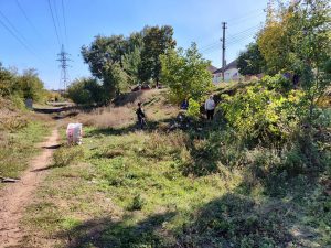 IMG_20181007_184133_332