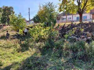 IMG_20181007_184136_585