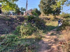IMG_20181007_184140_674