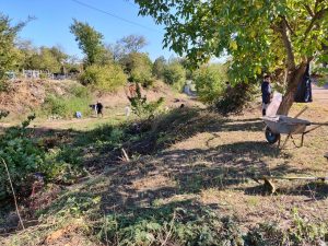 IMG_20181007_184144_351