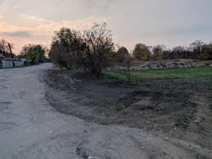 IMG_20181021_184947_323