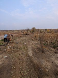 IMG_20181021_185034_808