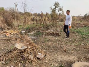 IMG_20181021_185038_813