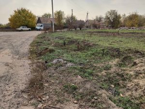 IMG_20181021_185044_730