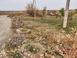 IMG_20181021_185105_502