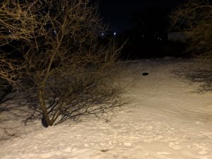 IMG_20190117_191036_800