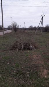 IMG-e9580a97dee7c5fea3b026b4780f55c7-V