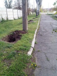 FB_IMG_1556456492830